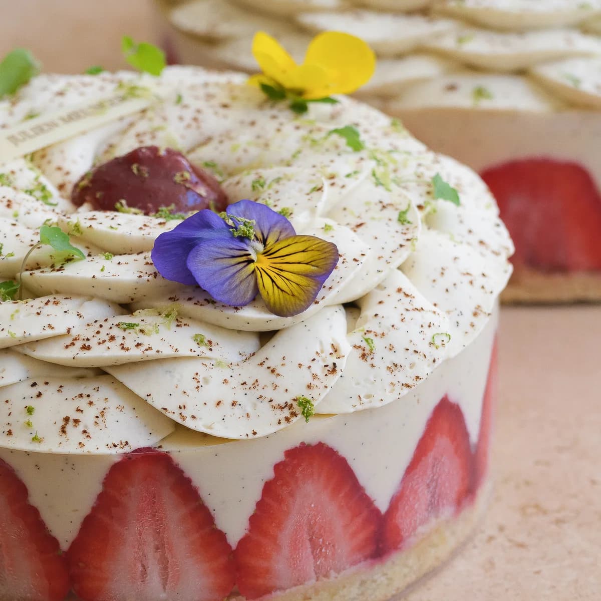 Fraisier - photo 1