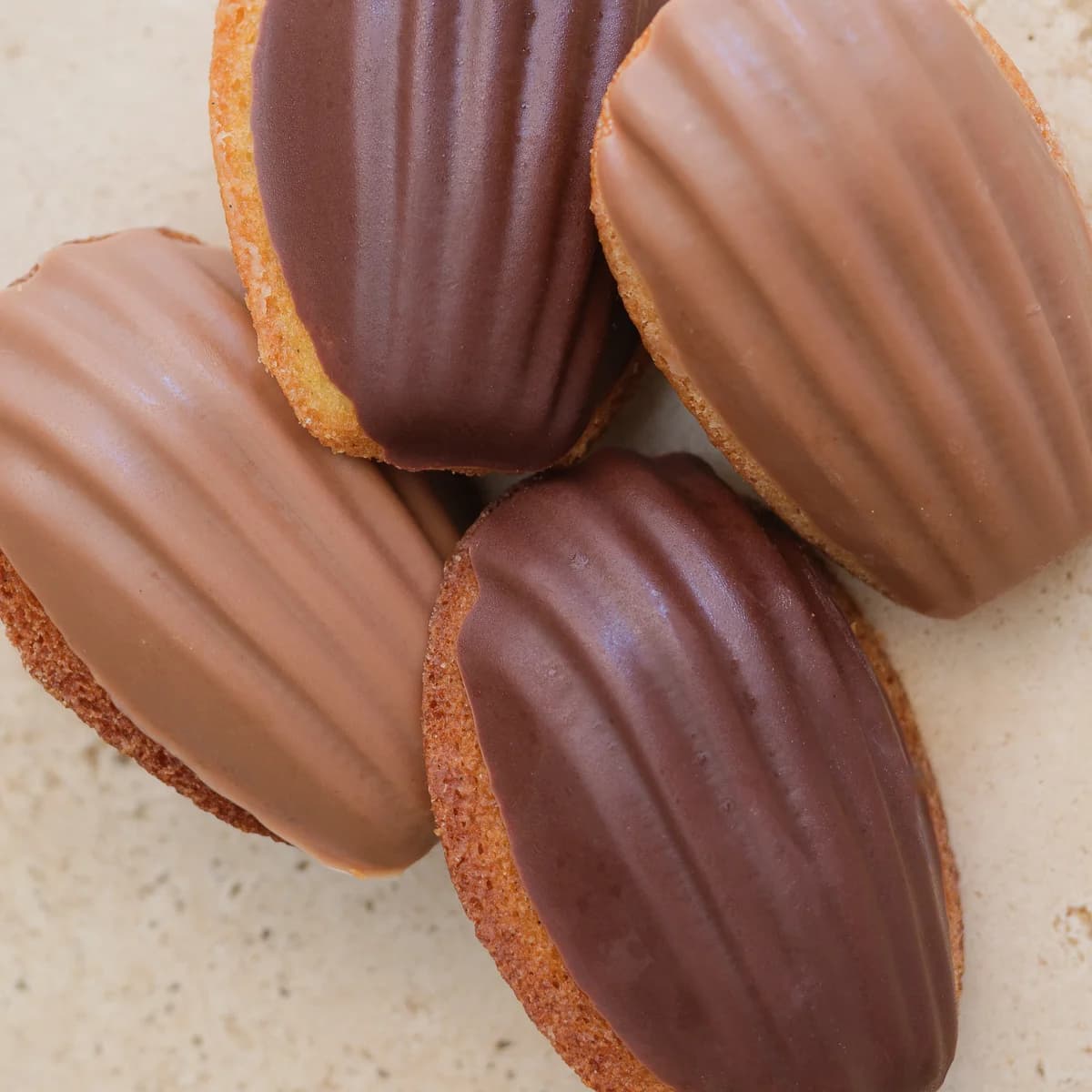 Madeleine Nature Coque Chocolat - photo 1