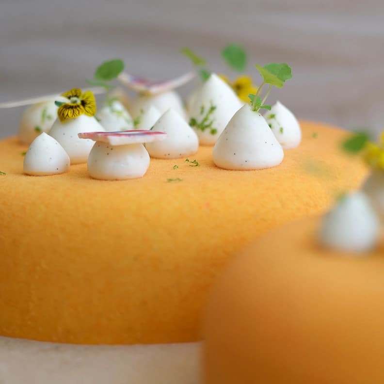 Entremets Abricot Vanille - photo 2